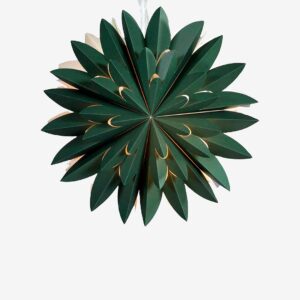 PR Home - Stjärna Hyacint - Grön - Adventsstjärnor - Från Homeroom