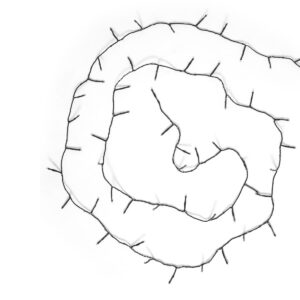 Ljusslinga Kluster 10m Svart